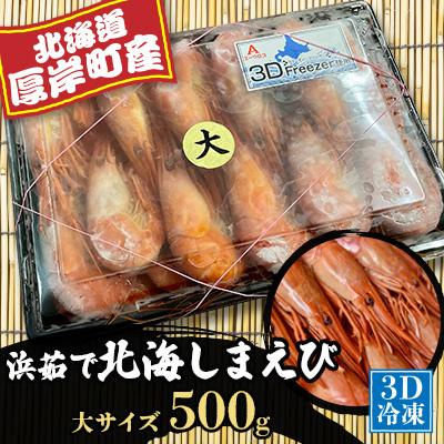 ふるさと納税 厚岸町 北海道厚岸産「浜茹で北海しまえび」大サイズ 500g×1パック