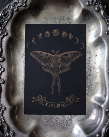 複製畫 RISO孔版印刷明信片 Luna Moth
