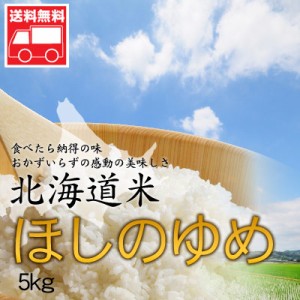 北海道産 ほしのゆめ5kg 北海道米 ほしのゆめ おためし 送料無料※沖縄は送料別途加算