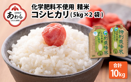  化学肥料不使用コシヒカリ 精米10kg（5kg×2袋）   白米 米 福井県あわら市産 美味しい 特別栽培米 減農薬 安心な米 旨味 甘み もっちり エコファーマー こしひかり 冷蔵保管米