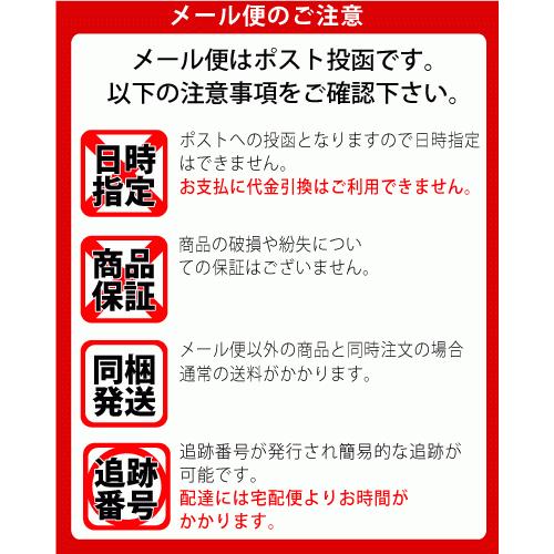 お得な3箱セット スープカレーの素 2人前 3箱 札幌 本場の味 ご家庭で 簡単 お好きな具材で スープカレー店が作った 本格派 メール便 送料無料