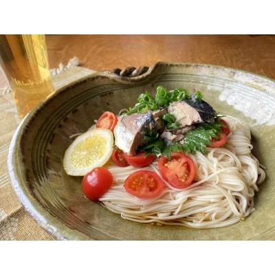 ふるさと納税 南あわじ市 淡路島手延べ麺お味見セット(御陵糸・淡路糸)