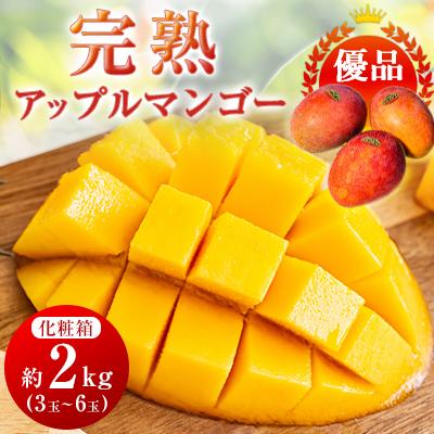 ふるさと納税 与那原町 ＜優品＞完熟アップルマンゴー約2kg(化粧箱)3玉〜6玉