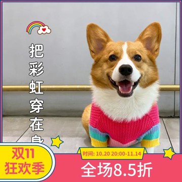 柯基狗狗衣服寵物秋冬裝彩虹毛衣中小型犬比熊柴犬法斗保暖冬天