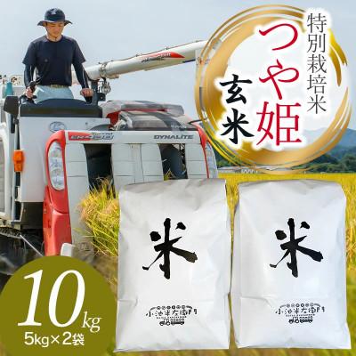 ふるさと納税 鶴岡市 山形県庄内産 小池半左衛門のお米 特別栽培米 つや姫 玄米 5kg×2袋 計10kg