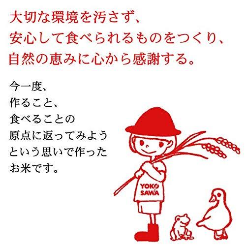 農薬を使わずに育てたお米 新潟県産コシヒカリ 原点回帰米 玄米 5キロ 有機JAS認証コシヒカリ オーガニック・有機米 農薬不使用 化学肥料不使用