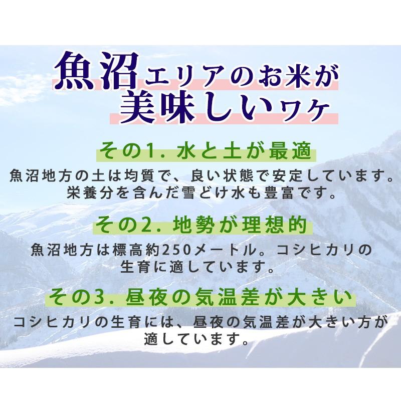 お米 米10kg 送料無料 無洗米 南魚沼産コシヒカリ 10kg (5kg×2) いなほんぽオリジナル 新潟米