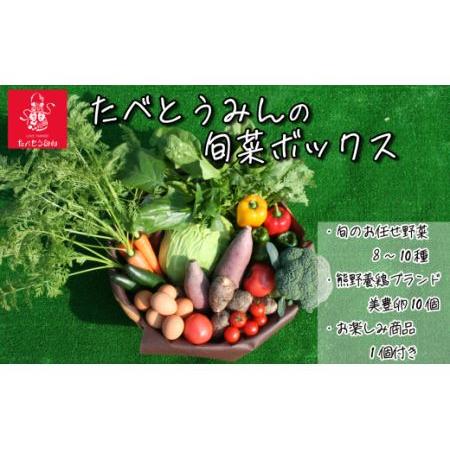 ふるさと納税 たべとうみんの旬菜ボックス 愛媛県西条市