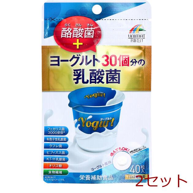 ヨーグルト30個分の乳酸菌 酪酸菌 200mg×40粒 2セット