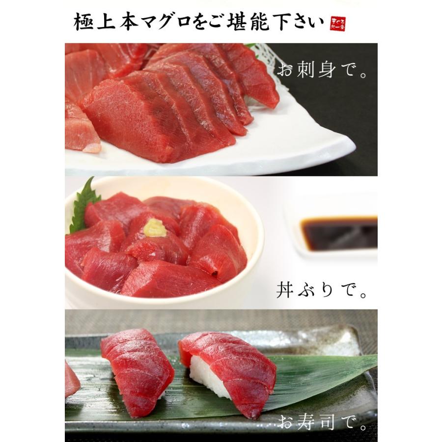 本マグロ赤身 600g 送料無料 解凍レシピ付 刺身 海鮮 食べ物《pbt-bf3》〈bf1〉yd9[[赤身300g-2p]