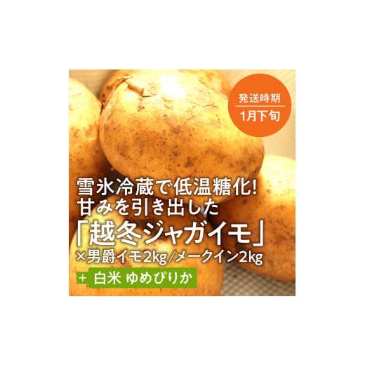 ふるさと納税 北海道 東川町 旬のお野菜「越冬ジャガイモセット」