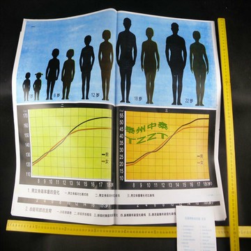 青春期教育掛圖（20幅）J53010 初中生物實驗器材 中學教學儀器