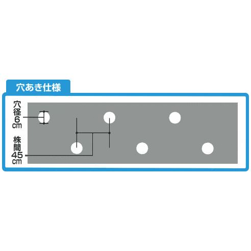 ダイオ化成 穴あきマルチ 2列 黒 雑草抑制効果のある黒マルチ 穴あきタイプ