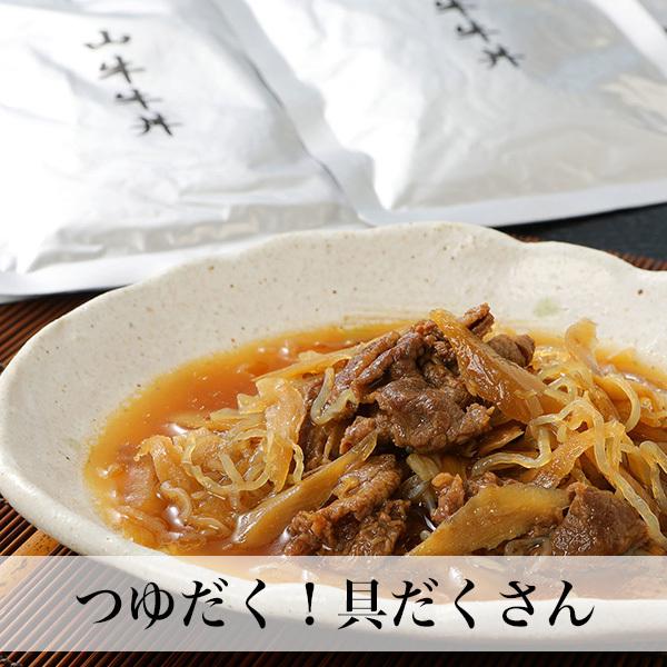 宮崎県産牛100％ 牛丼の具 160g×10食 国産 レトルト おかず つゆだく 常温保存