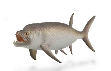 動物模型《 COLLECTA 》1:40劍射魚
