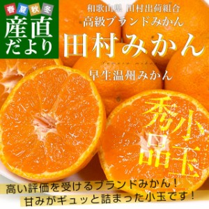 和歌山県より産地直送 田村出荷組合 田村みかん（早生温州みかん） 秀品 2Sサイズ 小玉5キロ（70玉前後）送料無料 有田 柑橘