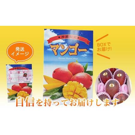 ふるさと納税 アップルマンゴー 秀品 南城市 約2kg (3〜5玉) 沖縄県南城市