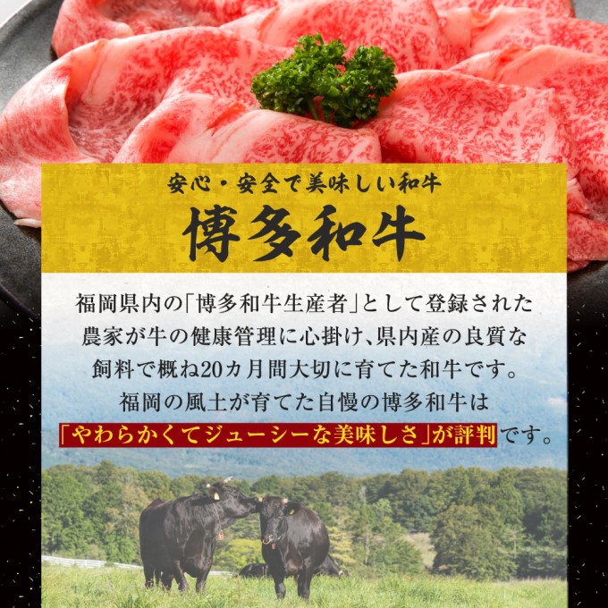 牛肉 数量限定 博多 和牛 A4～A5 しゃぶしゃぶ すき焼き セット 700g  ※配送不可：離島