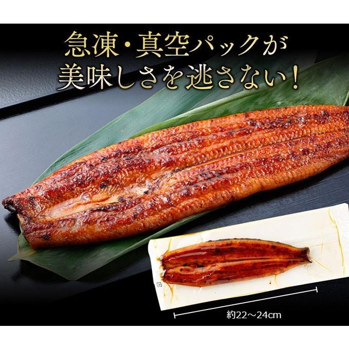 国産うなぎ蒲焼き うな重 セット ギフト 送料無料 うなぎ 蒲焼き お取り寄せ 母の日 父の日 中元 お中元 御中元 歳暮 お歳暮 御歳暮