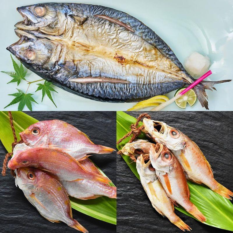 魚小路 厳選 国産 干物 ３種セット のどぐろ丸干し(4?5尾) 連子鯛丸干し(4尾) 金華沖さば開き(1枚) (冷凍品)