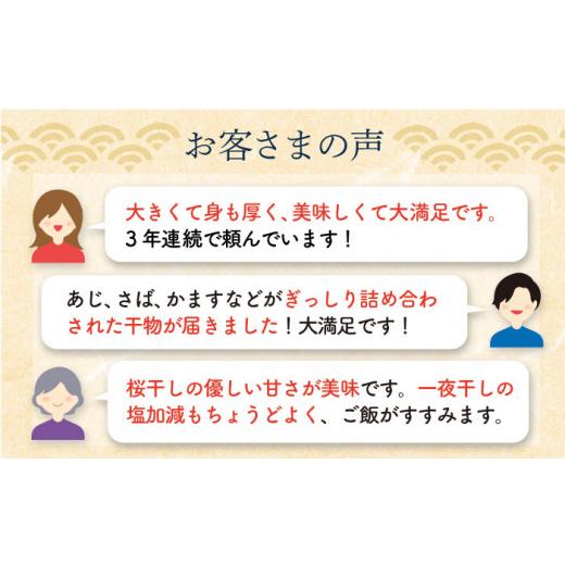 ふるさと納税 長崎県 長崎市 一押し干物！！20枚入り長崎蚊焼干しセット＜ベアーフーズ水産食品センター＞ [LFC019]