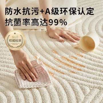 真防水防污地毯客廳奶油風抗菌免洗可擦純色輕奢高級白月光系列