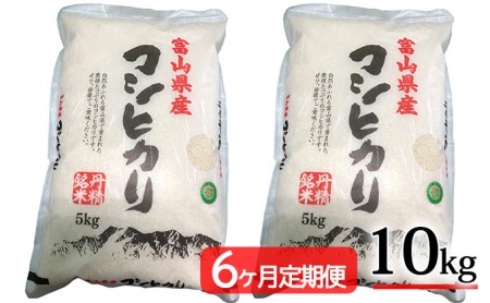 6回 定期便 お米 コシヒカリ 精米 10kg×6回 総計60kg   サンライス青木   富山県 朝日町 [34310019] 米 ごはん 白米 こしひかり 富山県産 60キロ