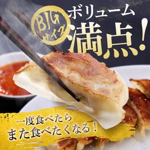 ふるさと納税 たじまやオリジナルビッグ餃子 60個 栃木県真岡市