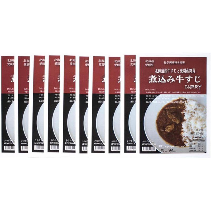 煮込み牛すじカリー 10個セット 200g×10 カレー 惣菜 ビーフカレー 北海道産