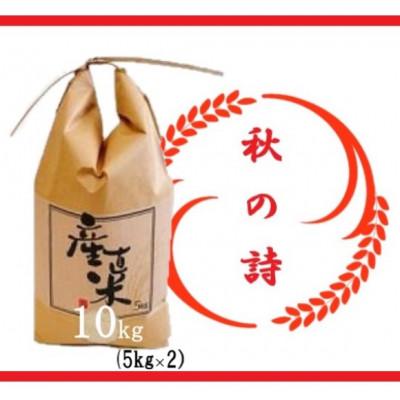 ふるさと納税 竜王町 令和5年産　近江米