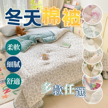 台灣出貨 冬被 韓系棉被 被子 冬天棉被 被胎 冬被 棉被雙人 棉被芯 四季被 單人棉被 厚棉被 單人被子 加大棉被