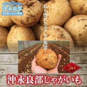 ふるさと納税 私も惚れたホクホク食感!まるとよ農産の「沖永良部じゃがいも」5キロ! 鹿児島県和泊町