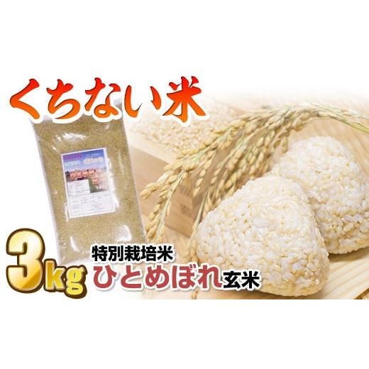 ふるさと納税 岩手県 北上市 令和5年産  くちない米（特別栽培米ひとめぼれ玄米）3kg