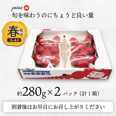 ふるさと納税 岡垣町 博多あまおう2パック(春)『2024年3〜4月発送』(岡垣町)