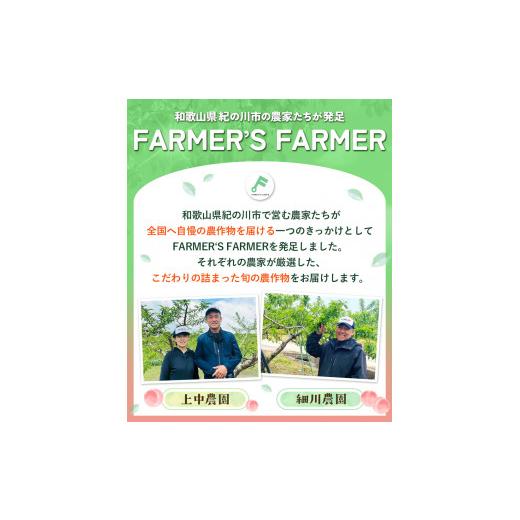 ふるさと納税 和歌山県 紀の川市 紀の川市産 あら川の桃 約2kg 5~8玉 FARMER'S FARMER《2024年6月中旬-8月上旬頃より順次出荷》 和歌山県 紀の川市 果物 …