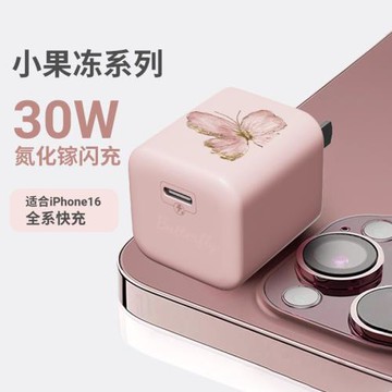 【30w氮化鎵快充】油畫金箔蝴蝶適用蘋果充電器iPhone16promax手機充電頭16pro新款pd快充15數據線套裝typec