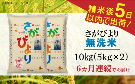 令和5年産 さがびより 無洗米 白米 計60kg（5kg×2袋×6回） 佐賀県 株式会社森光商店[41ACBW034]