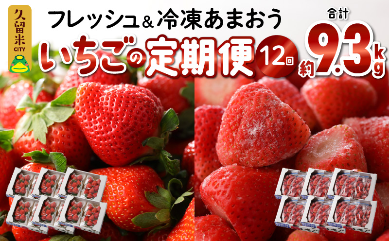 　あまおう　約５６０ｇ（約２８０ｇ×２パック）× １２月～５月まで計６回　　 冷凍あまおう　１０００ｇ（５００ｇ×２パック）×６月～１１月まで計６回