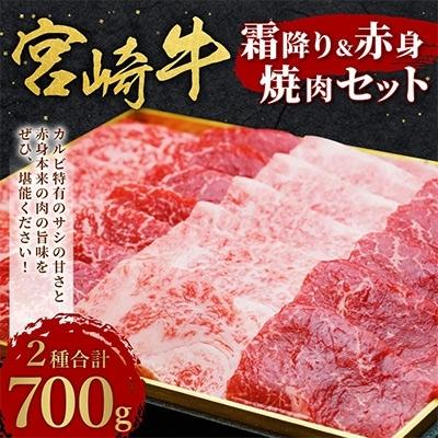 ふるさと納税 えびの市 宮崎牛霜降り赤身焼肉セット700g