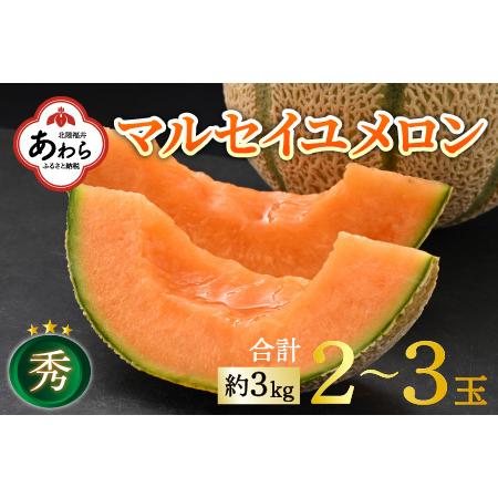 ふるさと納税 マルセイユメロン 約3kg前後《秀品》(5L〜3Ｌ 2〜3玉入）深みのある甘さ とろける濃厚な赤肉！農家直送 有機肥料 低.. 福井県あわら市