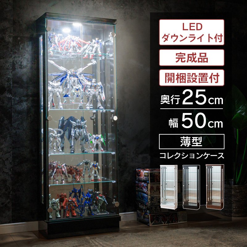 コレクションケース LED ダウンライト 50 ハイタイプ 完成品 コレクションボード ガラスケース 背面ミラー付 スペクトル 通販  LINEポイント最大0.5%GET | LINEショッピング