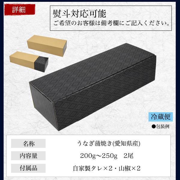 うなぎ 朝じめ 蒲焼きor白焼き 国産 超特大 200〜250g×2尾 朝焼き 鰻 愛知県産 冷蔵 贈答 ギフト お中元 お歳暮 熨斗対応可 お取り寄せ グルメ