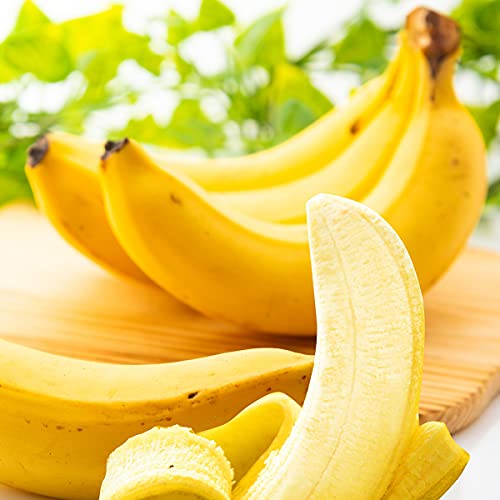有機 無農薬 安全オーガニック バナナ 約2kg 野菜ソムリエ監修