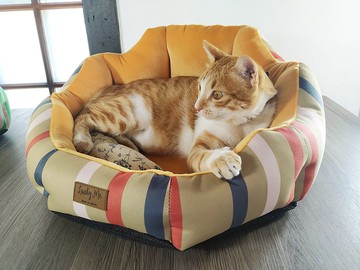 舒趴墊(中)- 慢熱芥末 8色選擇 小型犬 寵物床墊