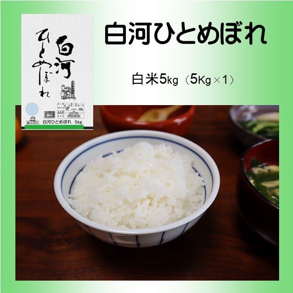 令和5年産　白米　5Kg　白河ひとめぼれ　米　お米　福島県中通り　白河産　贈答