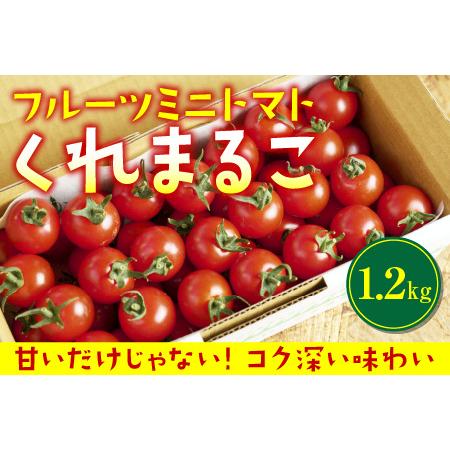 ふるさと納税 フルーツミニトマト『くれまるこ』1.2kg 高知県中土佐町