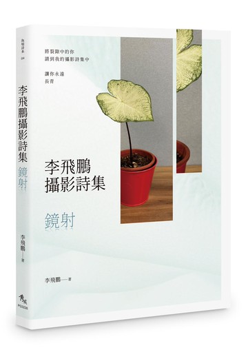 李飛鵬攝影詩集：鏡射
