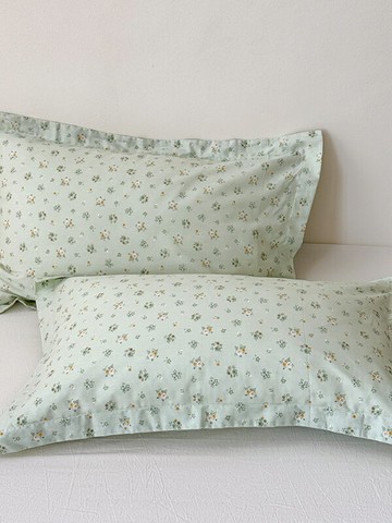 純棉淺綠色枕套一對裝全棉100嫩綠柳綠草綠薄荷綠水綠碎花枕頭套