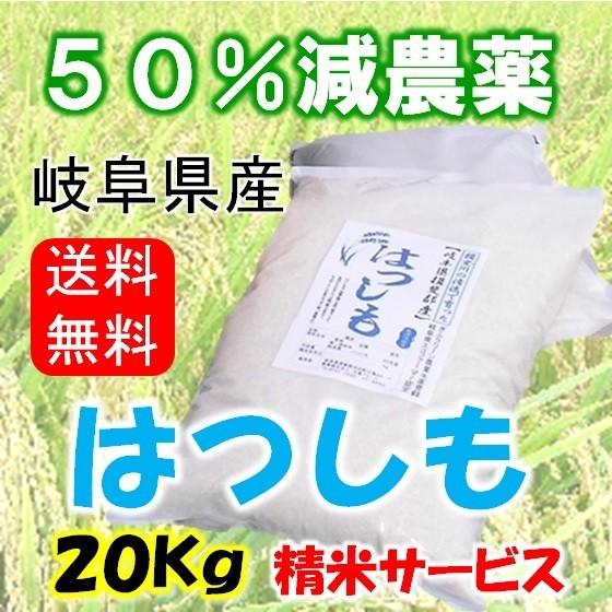 令和５年産 特別栽培米 岐阜県産 ハツシモ 玄米20Kg（10kg×2）分搗き可 北海道 沖縄 離島は追加送料