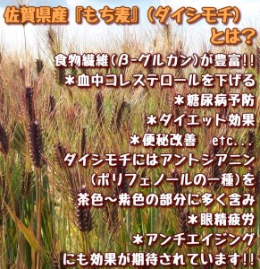 CI201_佐賀県産『もち麦』食べ比べ！キラリモチ１㎏、ダイシモチ１㎏